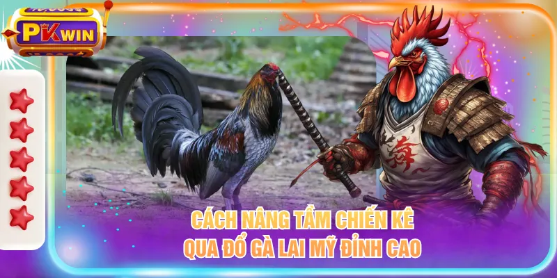 Cách nâng tầm chiến kê qua đổ gà lai Mỹ đỉnh cao