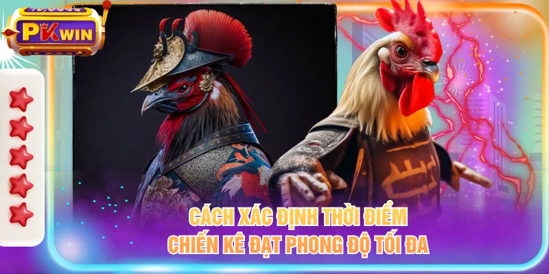 Cách xác định thời điểm chiến kê đạt phong độ tối đa