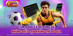 Cẩm Nang Cá Độ Bóng Đá - Những Điều Bạn Không Thể Bỏ Qua