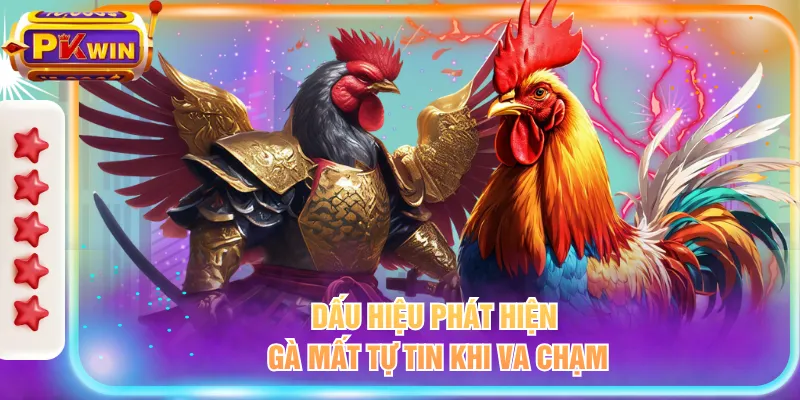 Dấu hiệu phát hiện gà mất tự tin khi va chạm