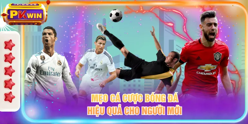 Mẹo cá cược bóng đá hiệu quả cho người mới